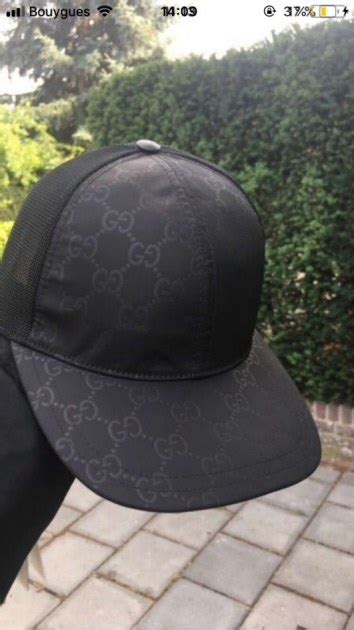 gucci pet roermond